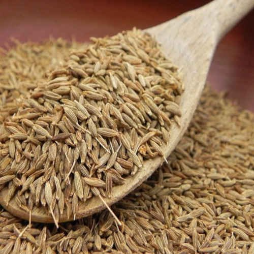 Cumin Seeds Natural Ceylon Spices | Cuminum cyminum High Quality Hot Spices